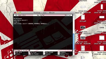 Hello World Bash Script