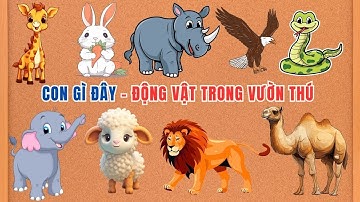 Dạy Bé Học Các Con Vật Hoang Dã Trong Vườn Thú | Dạy Bé Học Nhận Biết Các Con Vật | Dạy Bé Học P2