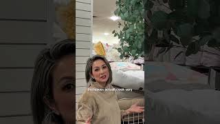 Feng Shui Best Indoor Trees Buy This, Not That Julie Khuu