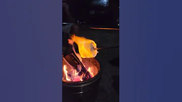 How To Properly Roast A Marshmallow Shorts 