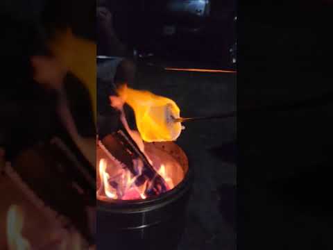 How To Properly Roast A Marshmallow Shorts