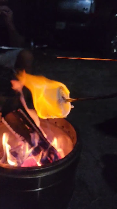 How To Properly Roast A Marshmallow! #shorts