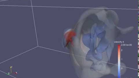 Immersed boundary lattice Boltzmann simulation for rotating propeller
