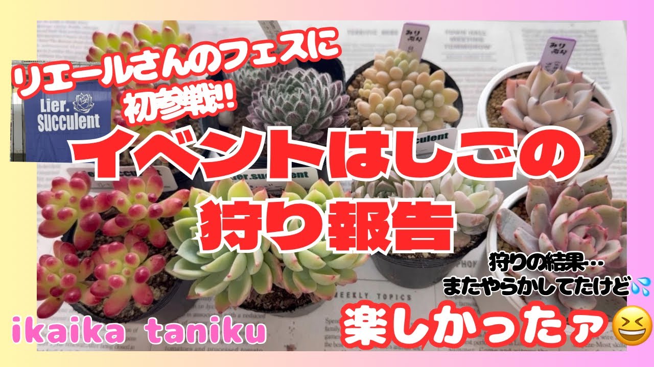 #226 『多肉植物』イベントはしごの狩り報告　リエールさんのフェスに初参戦