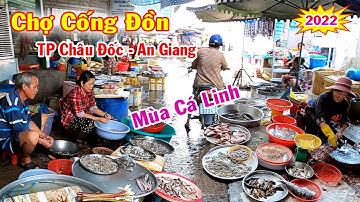 Chợ Cống Đồn TP Châu Đốc An Giang - Bán Nhiều Hải Sản Và Đặc Sản Mùa Nước Nổi Miền Tây