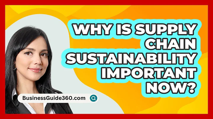 Why Is Supply Chain Sustainability Important Now? - BusinessGuide360.com