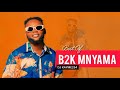 BEST OF B2K MNYAMA 2026 LOVE KING DJ KAYME254 FT CHANGAMOTO BARUA MAMA TUMEKUBALIANA