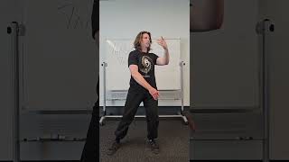 Yang Style Taiji Quan Cloud Hands