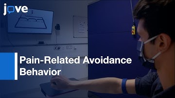 Pain-Related Avoidance Behavior: Robotic Arm-Reaching Paradigm l Protocol Preview