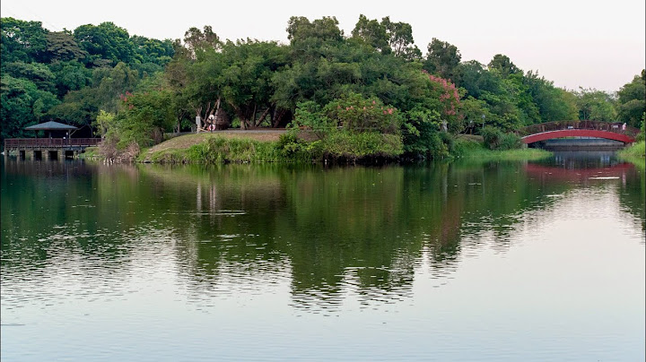 三 坑 自然 生態 公園 一 日 遊