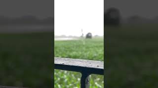 For All The Baarish Lovers