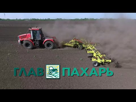 Новости из мира