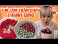 Cách làm Trân Châu Thanh Long 2 Màu cực xịn! | Tiểu Màn Thầu #Shorts