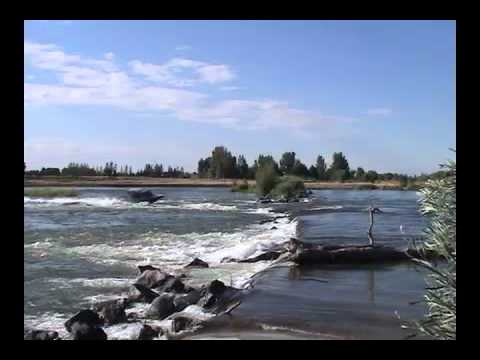 jet boat snake river diversion dam - youtube