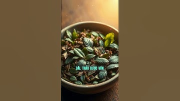 5 sai lầm CHẾT NGƯỜI khi uống nước lá.#suckhoe #canhbao #nuocla #gangan #than #trietlysong