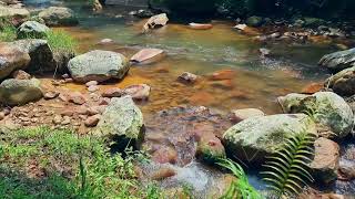 Relaxing sound of River Water - For meditation, Relaxation, Studying, Overcoming Insomnia, etc