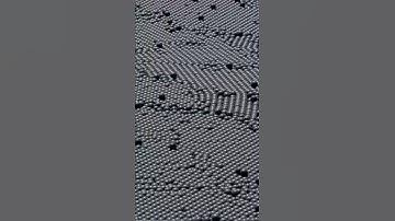 There are 96 million black balls on this lake