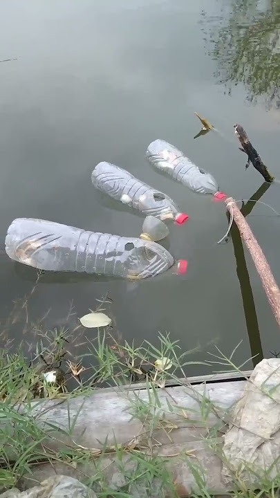 TOTORIAL NANGKEP IKAN PAKE 3 BOTOL