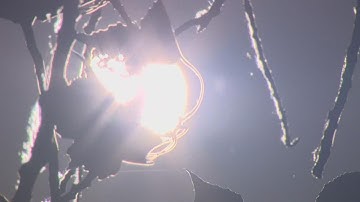 Texas heat wave: ERCOT sets power grid record