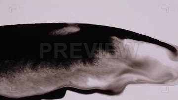 Ink Flow 07 Stock Video