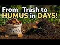 The Fastest Way to Turn Dry Leaves Into Compost (Ready in Days)