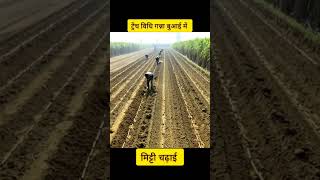 Trench Method Sugarcane Farming, Excellent Sugarcane Practices नखत