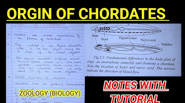 Origin of chordates  part -2  notes with explanation #biology #zoology #neet #chordatesnotes #vbu
