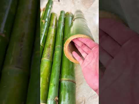 Cá Trôi Ấn Độ gác bếp