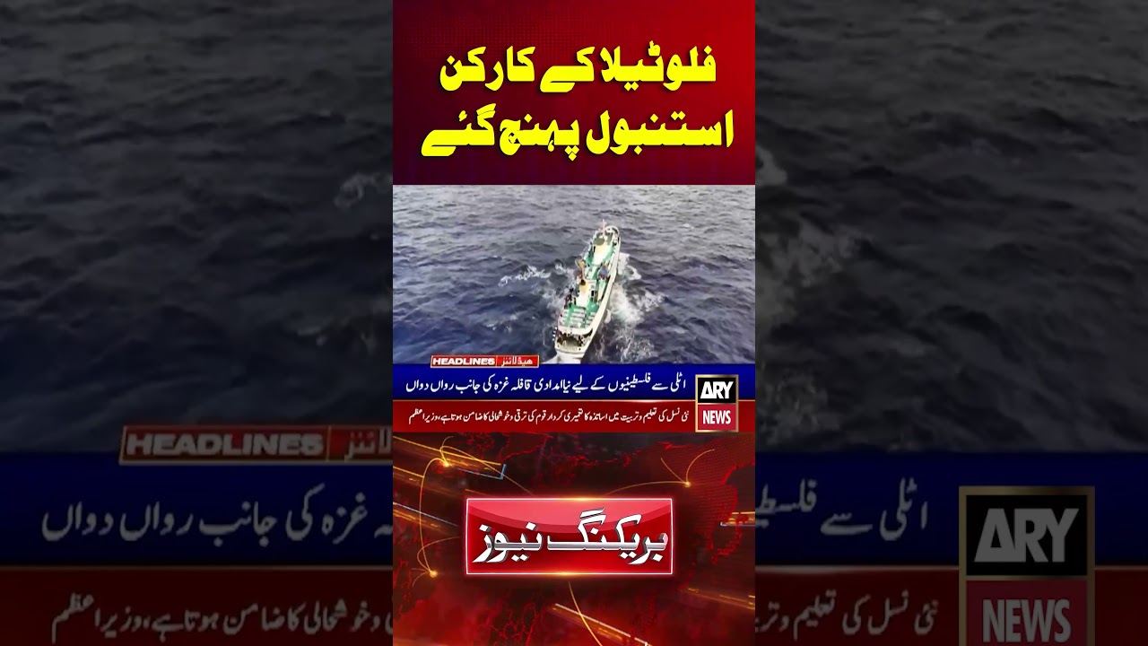 137 Flotilla Activists Released from Israeli Custody Arrive in Istanbul | 