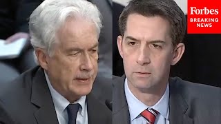 'Is Israel Exterminating The Palestinian People?': Tom Cotton Grills Top Biden Admin. Officials