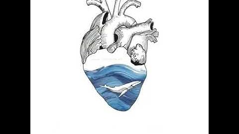 ايه وان يونس لمن المرسلين /قرأن كريم /سورة الصافات