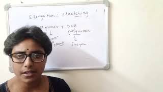 DNA REPLICATION PROCESS - SLIDE 2 !!! MORE TO KNOW .