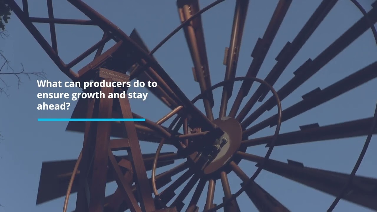 Amino: The next generation of poultry farm management software