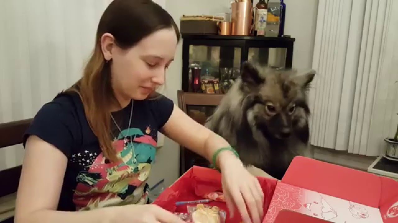 candy petřvald Japan Crate Unboxing January 2016