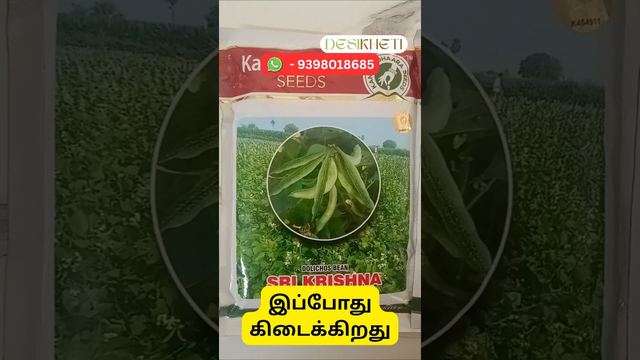Sri Krishna Dolichos Seeds | Desikheti - Buy Seeds Online | Contact - 9398018685 #tamilshorts