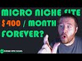 This MICRO NICHE SITE Still Makes Money In 2022!