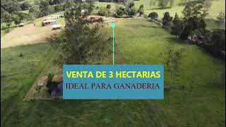 VENTA DE 3 HECTAREAS IDEAL PARA GANADO