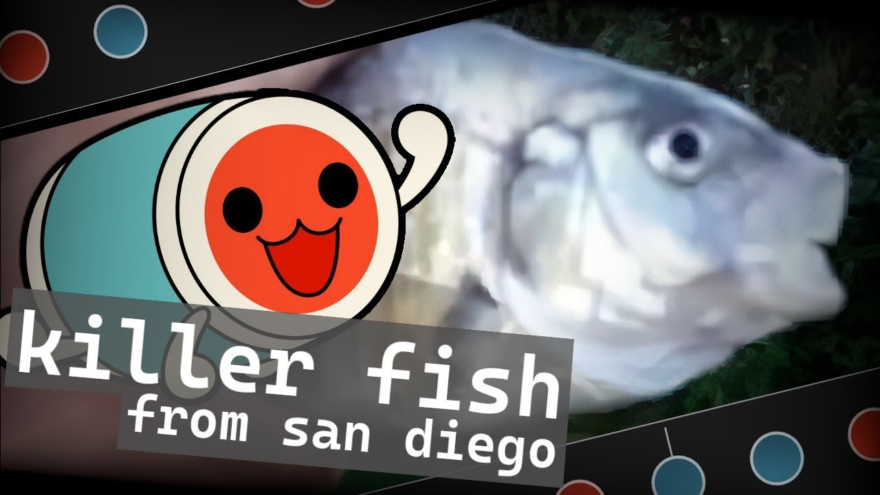 killer fish from san diego (osu!taiko) YouTube