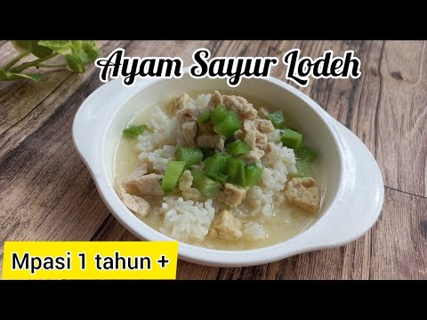 Resep Mpasi Lodeh Ayam