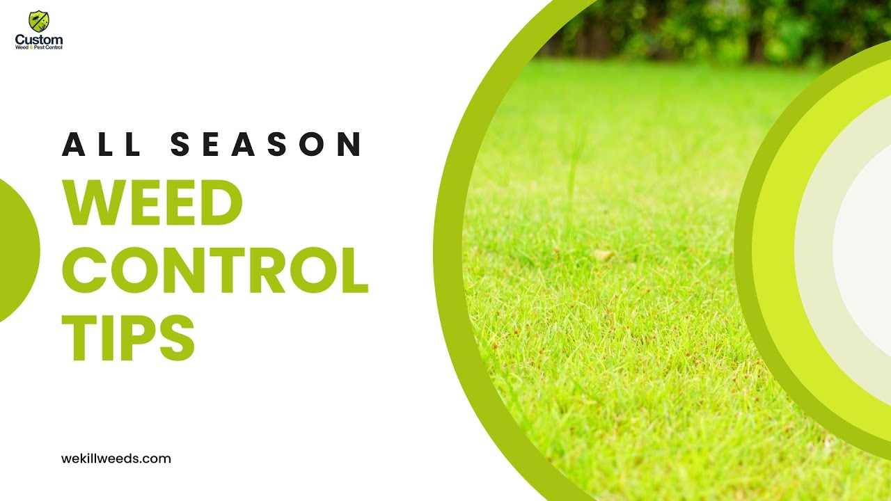 All Season Weed Control Tips