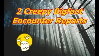 BFRO Reports Review Numbers 72265 and 72285