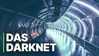 Das Darknet | Illegale Aktivitäten | AlphaBay