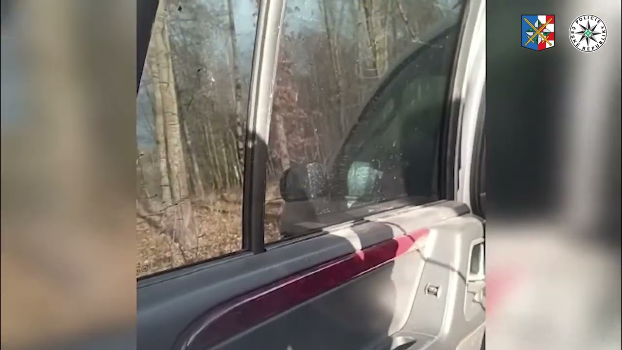 VIDEO: Zfetovaný mladík ujíždel policii. Ukrytého v lese ho našel psovod