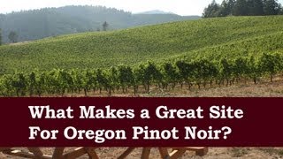 Choosing the Best Site for an Oregon Pinot Noir Vineyard - With Elk Cove Vineyards