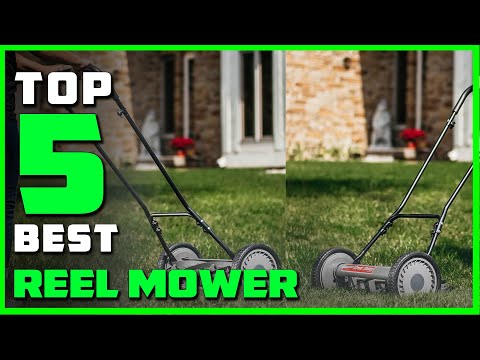 Best Reel Mower