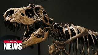 Dinosaur skeleton sells for US$ 6.1 mil. causing concern amongst scientists