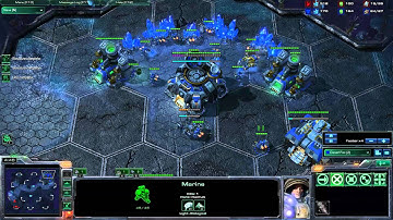 TvP Warden Style #6 : Reacting to DT