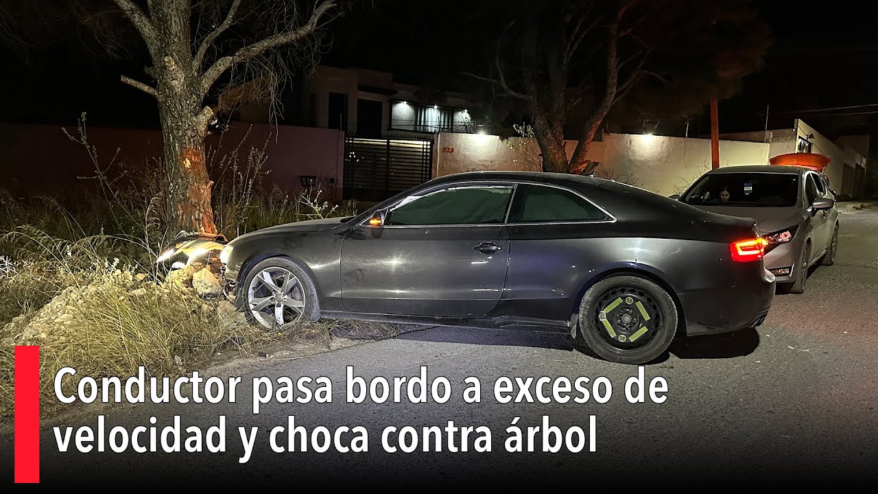 Conductor pasa bordo a exceso de velocidad y choca contra árbol al sur ...
