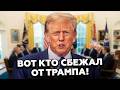 ⚡РАШКИН: Из Белого дома слили ТАКОЕ...Ближайшее окружение ТРАМПА в панике