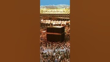 سورة المائدة | سعد الغامدي | تلاوة وقراءة جميلة ومبكية ورائعة